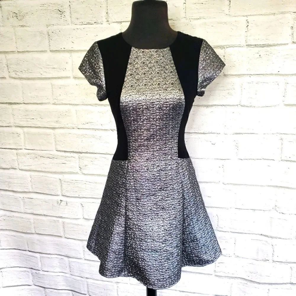 Slate & Willow Fiona dress fit and flare size 2